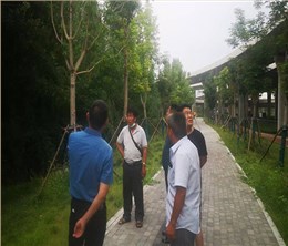 【案例分享】郑州西三环绿化带养护项目