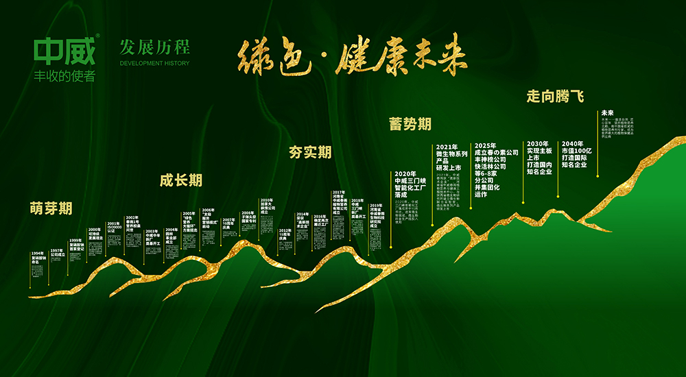 发展历程