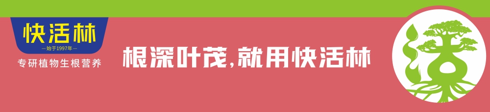 快活林,大大提高栽植成活率，降低养护成本