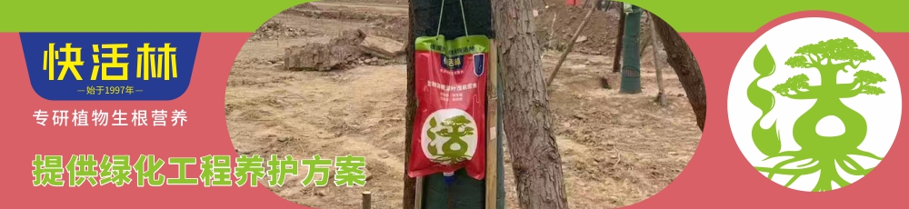 绿化工程