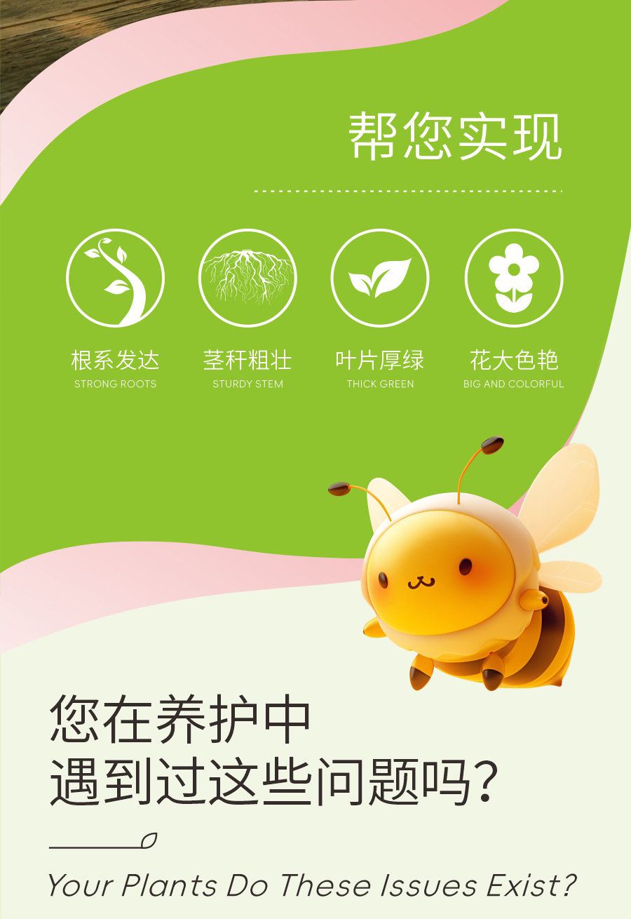 详情 (2)