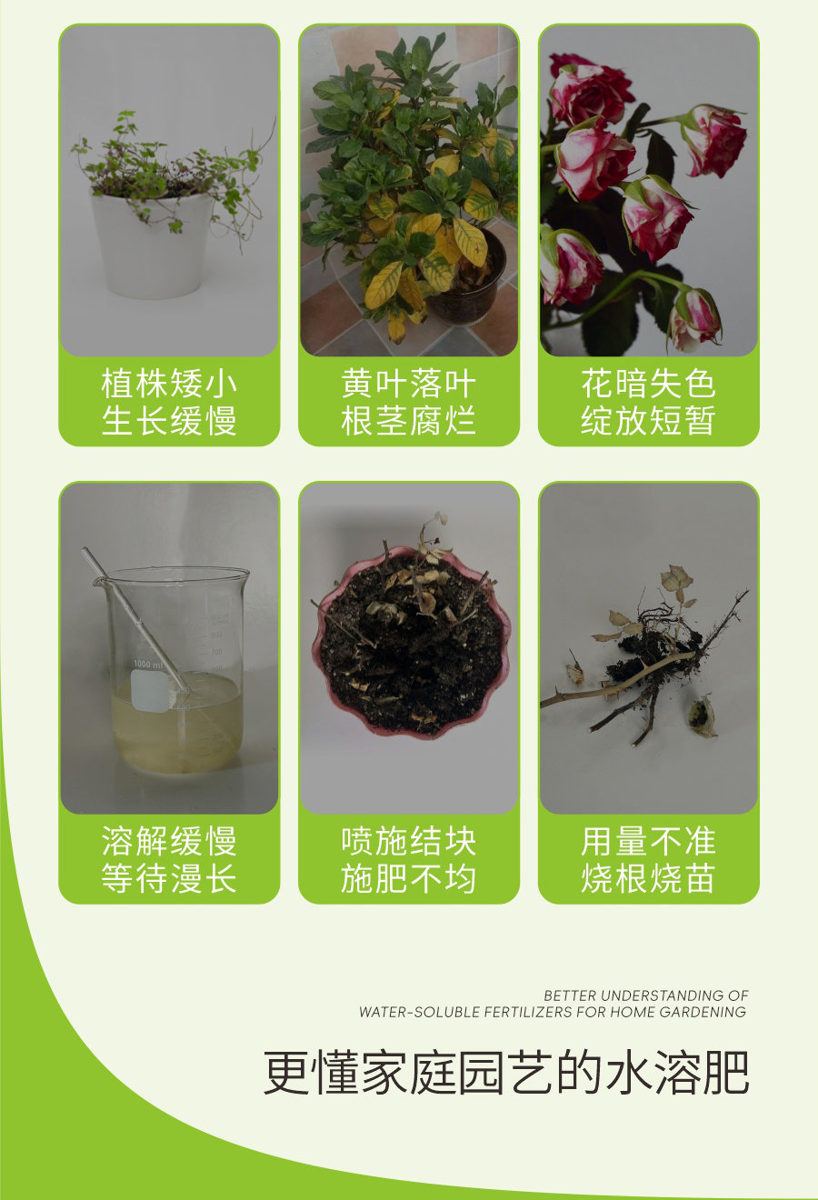 详情 (3)