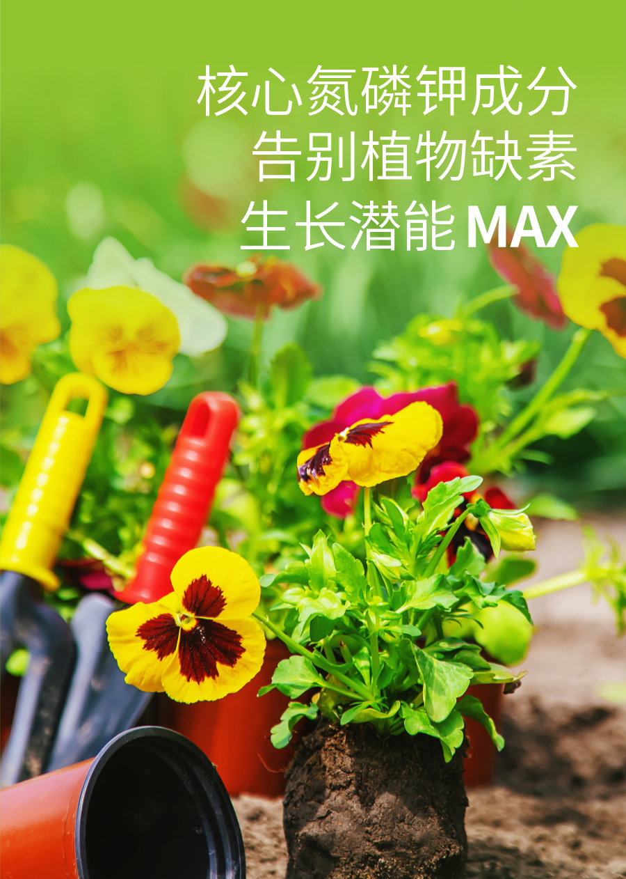 详情 (4)