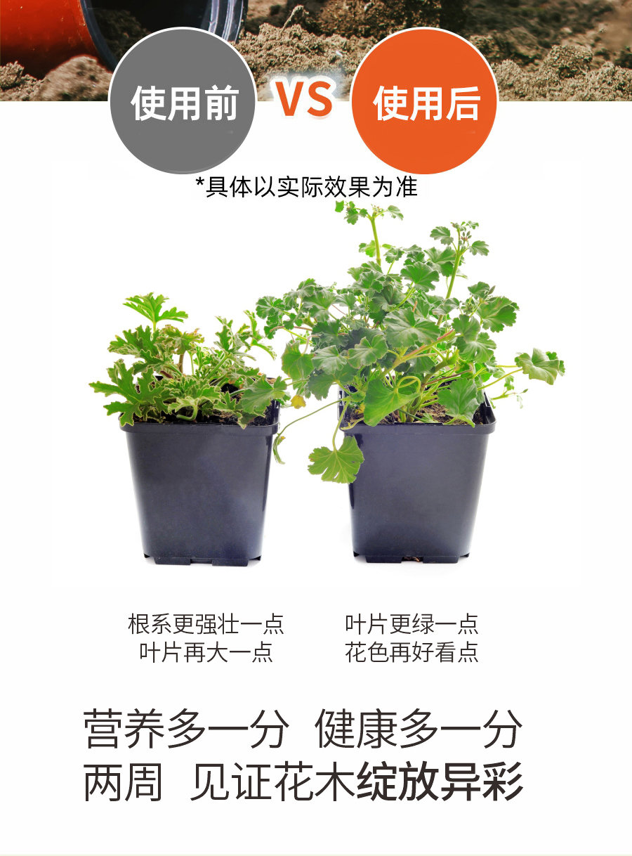 详情 (5)