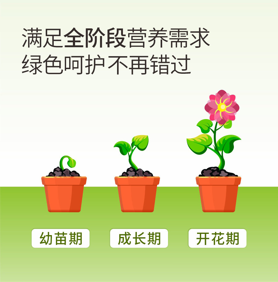 详情 (6)