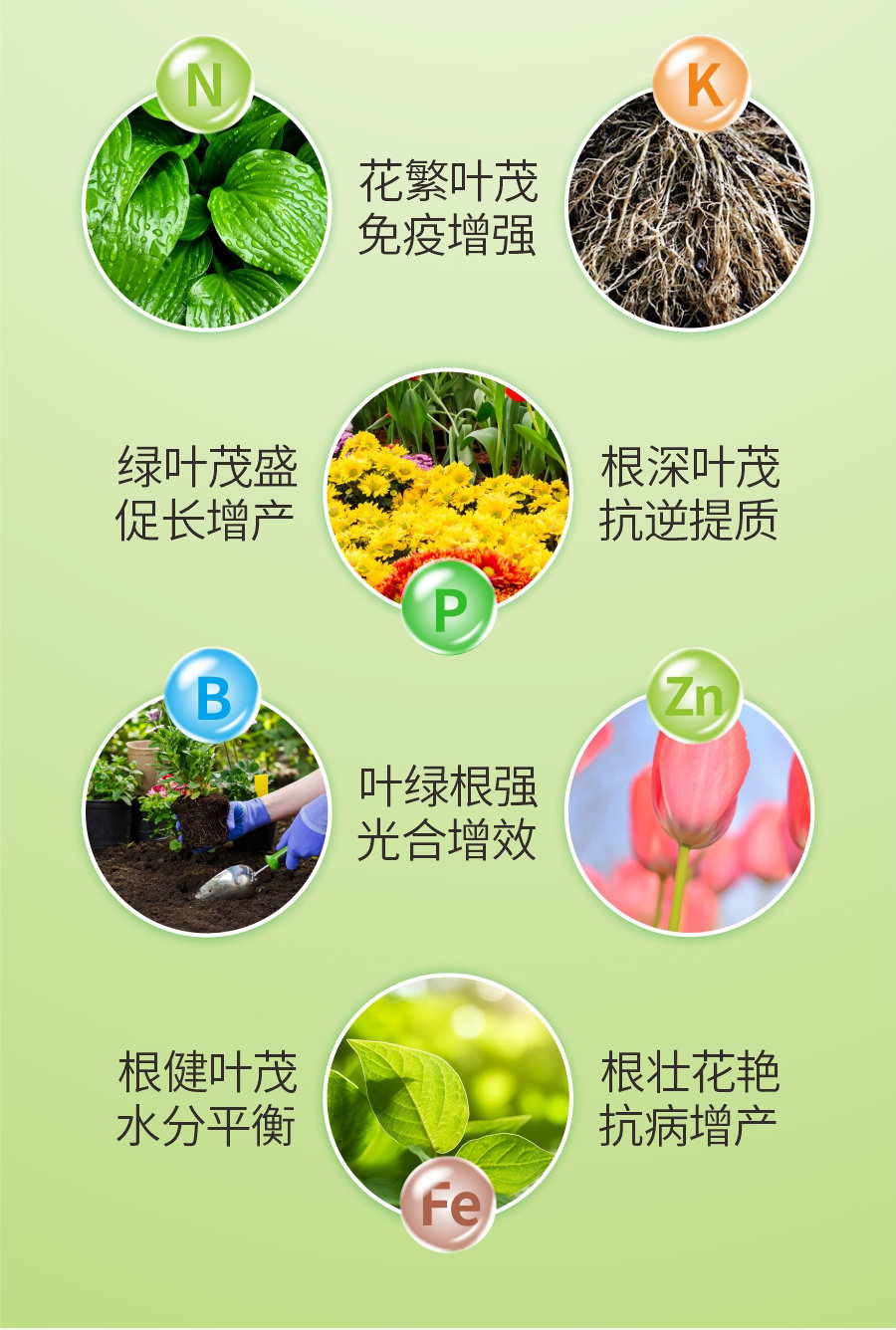 详情 (9)
