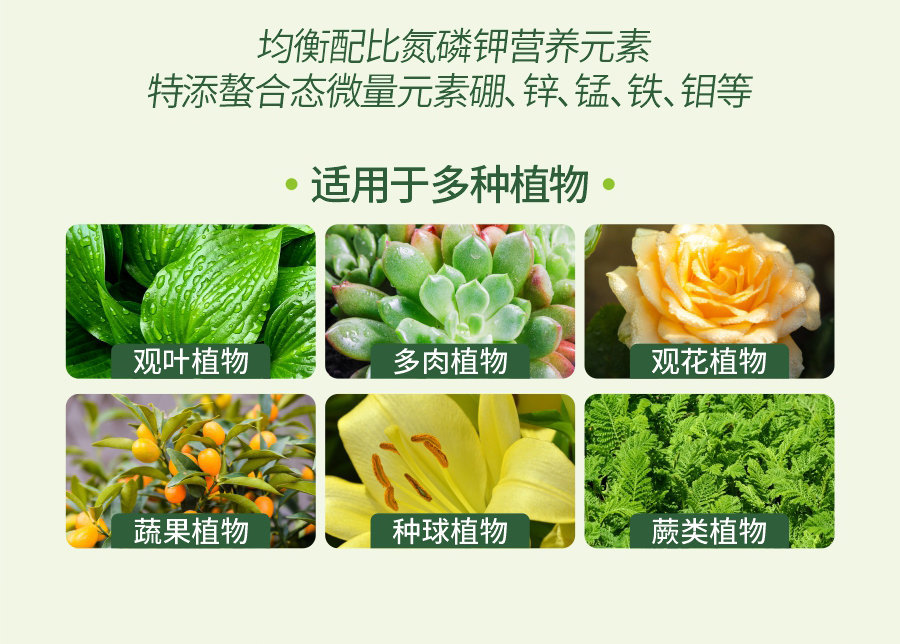 详情 (11)