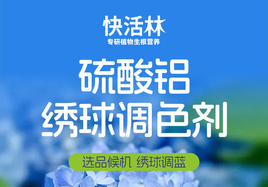 详情 (1)
