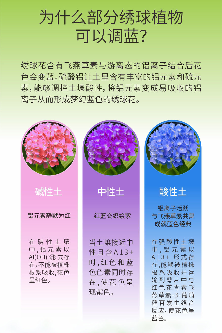 详情 (3)