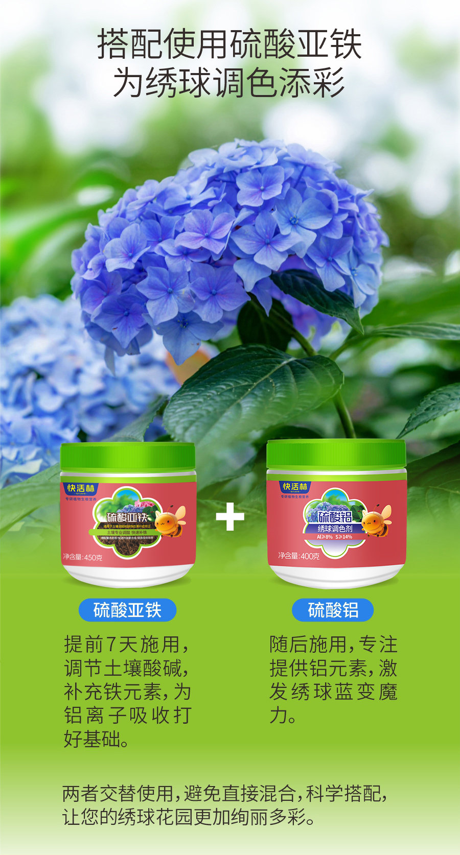 详情 (4)
