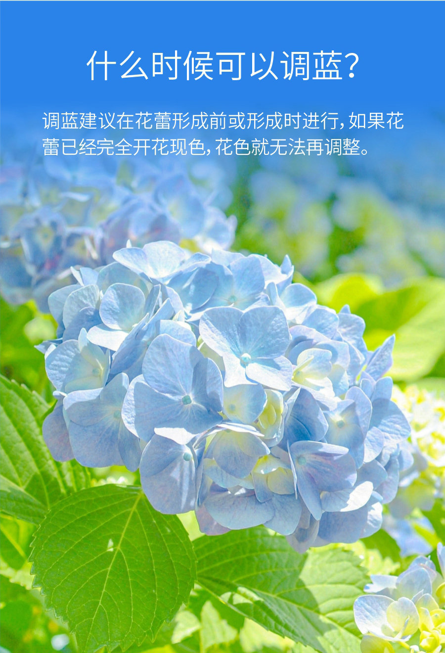 详情 (5)