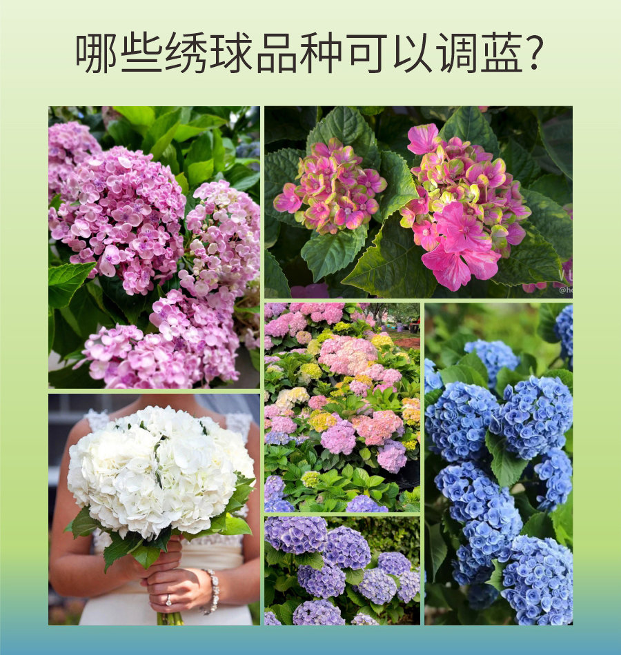 详情 (7)