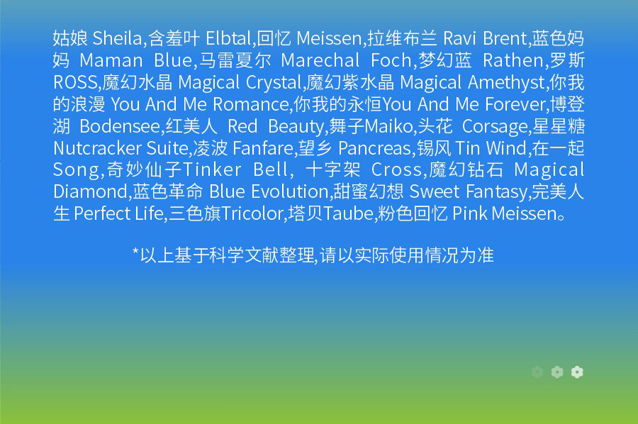 详情 (8)