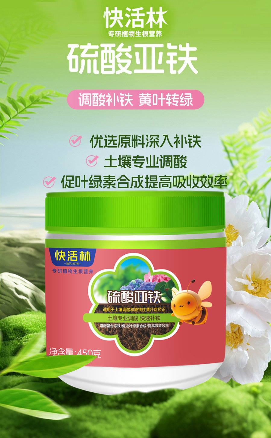 详情 (1)
