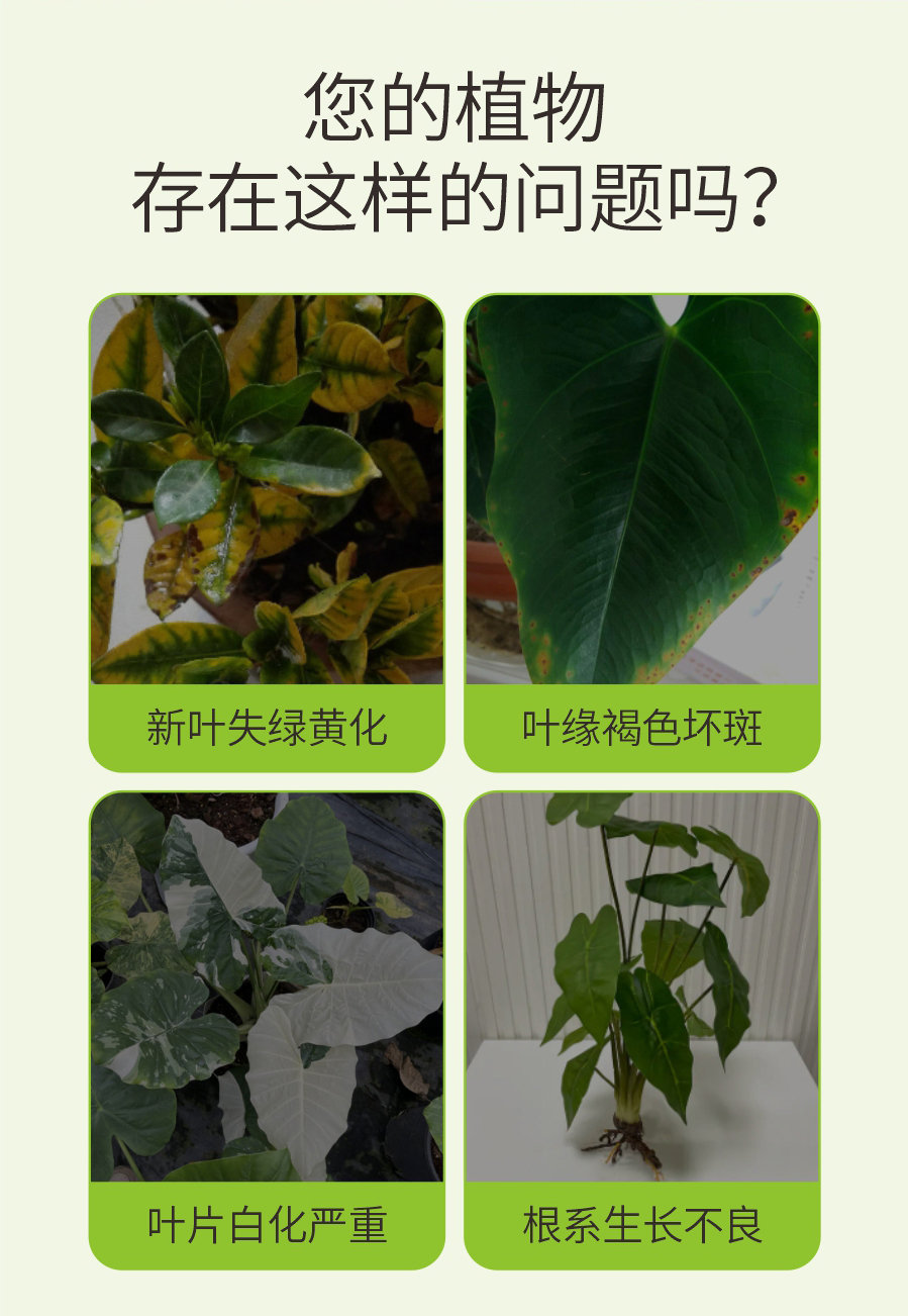 详情 (2)