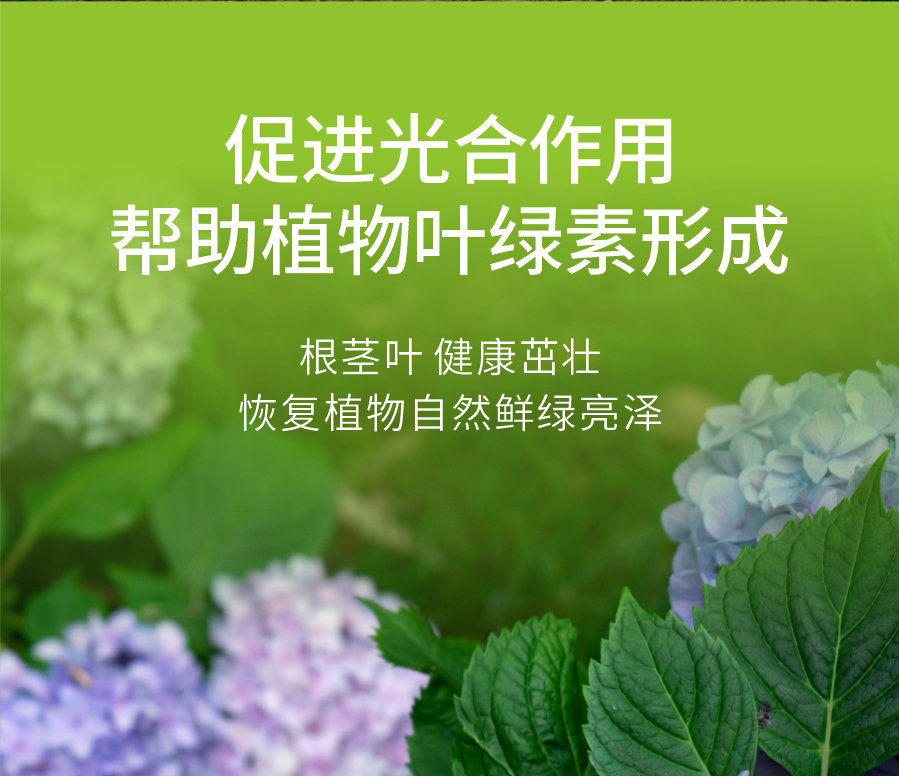 详情 (5)