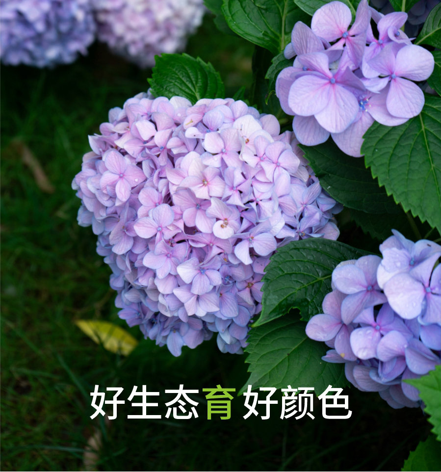 详情 (6)