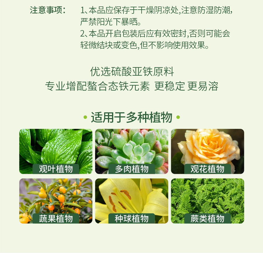 详情 (8)