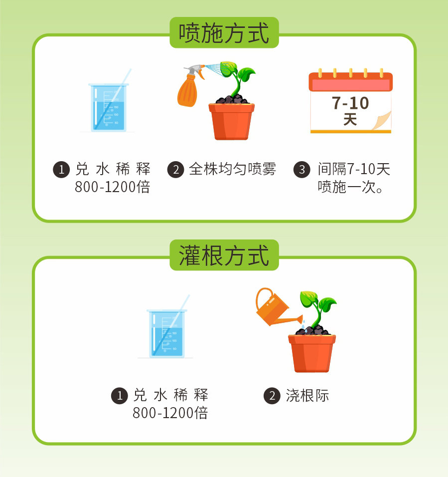详情 (10)