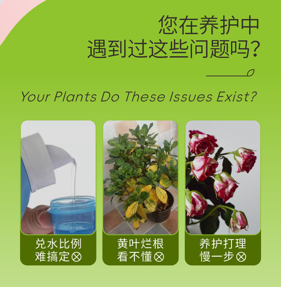 详情 (2)
