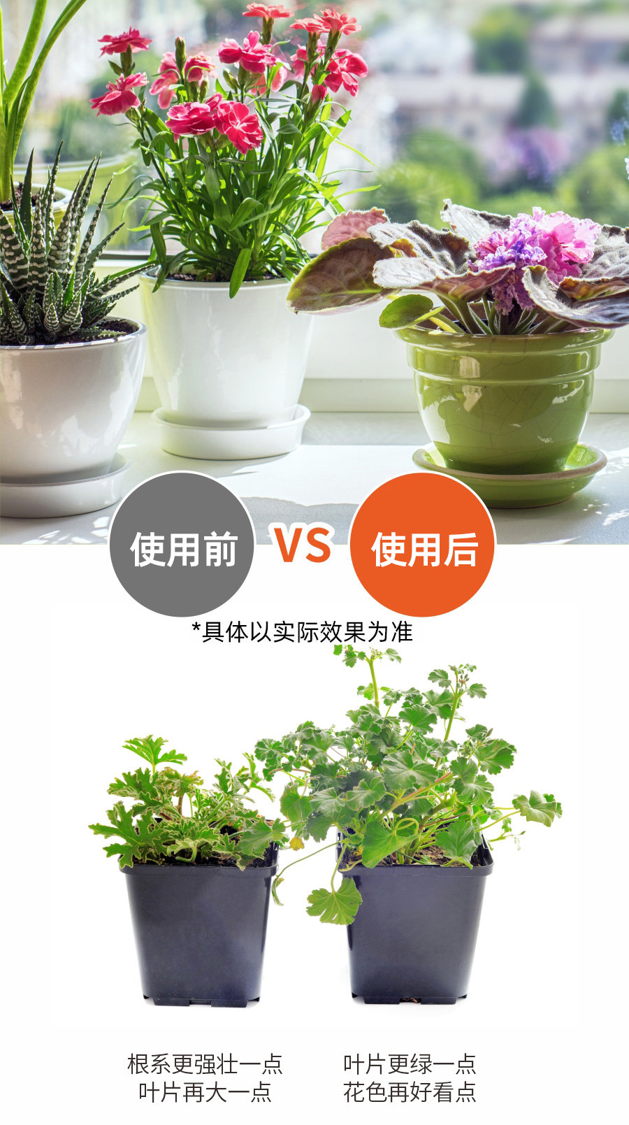 详情 (6)