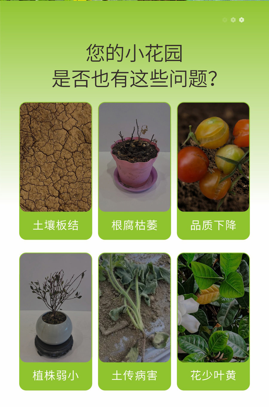 详情 (3)