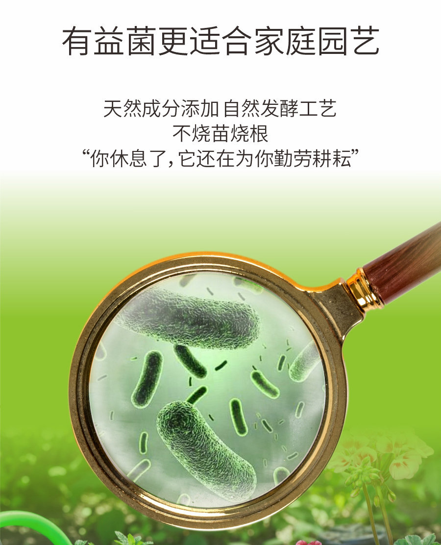 详情 (4)