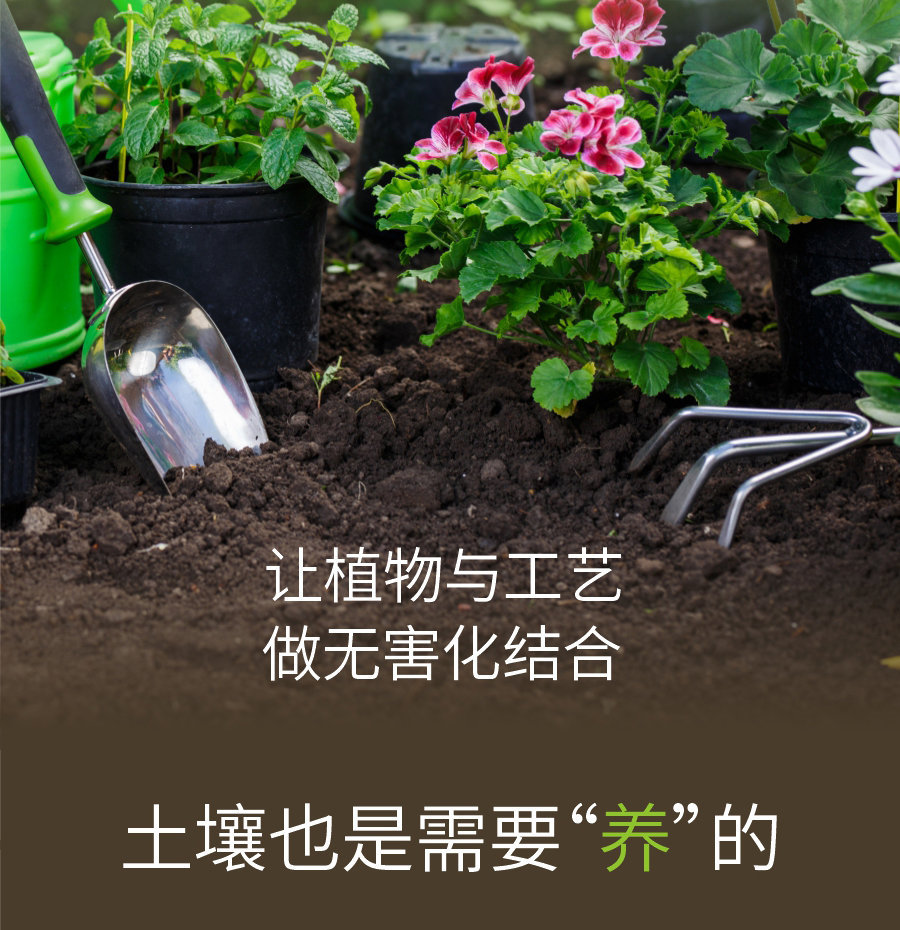 详情 (5)