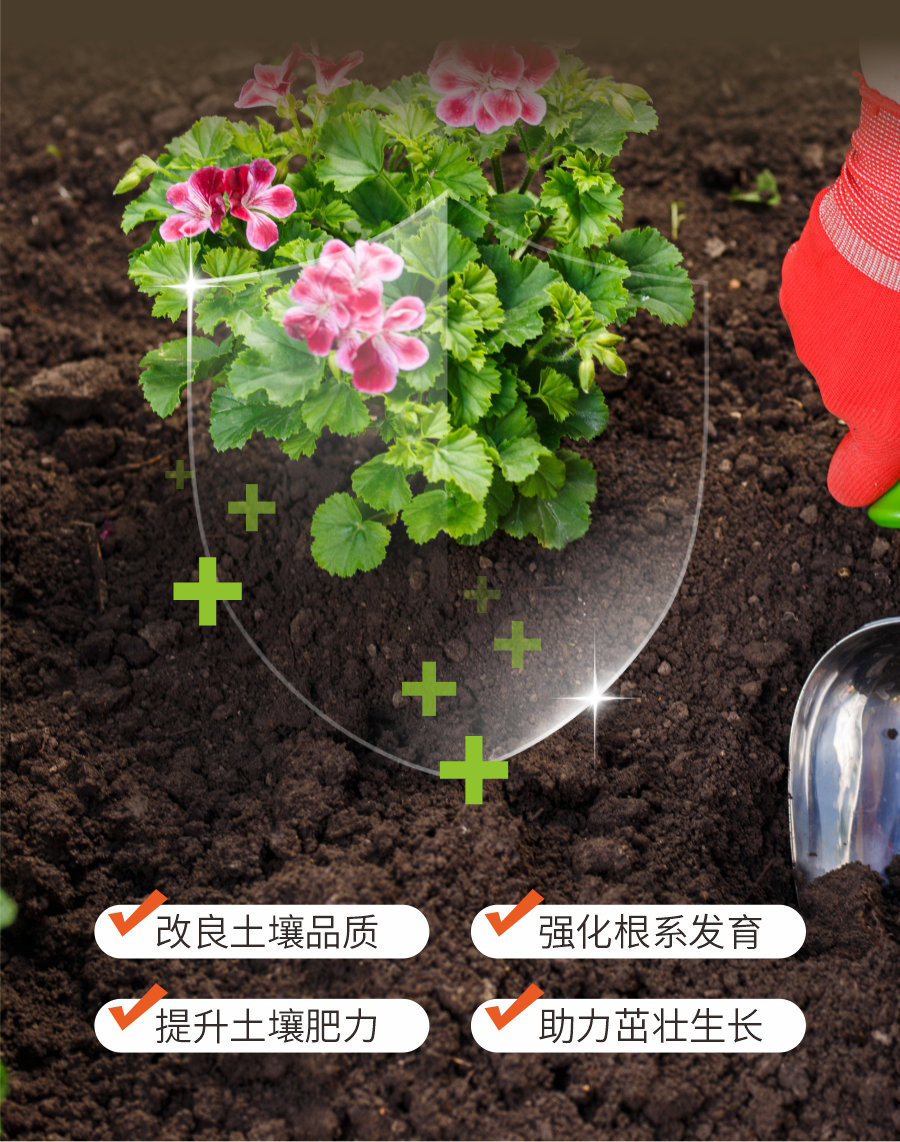 详情 (6)