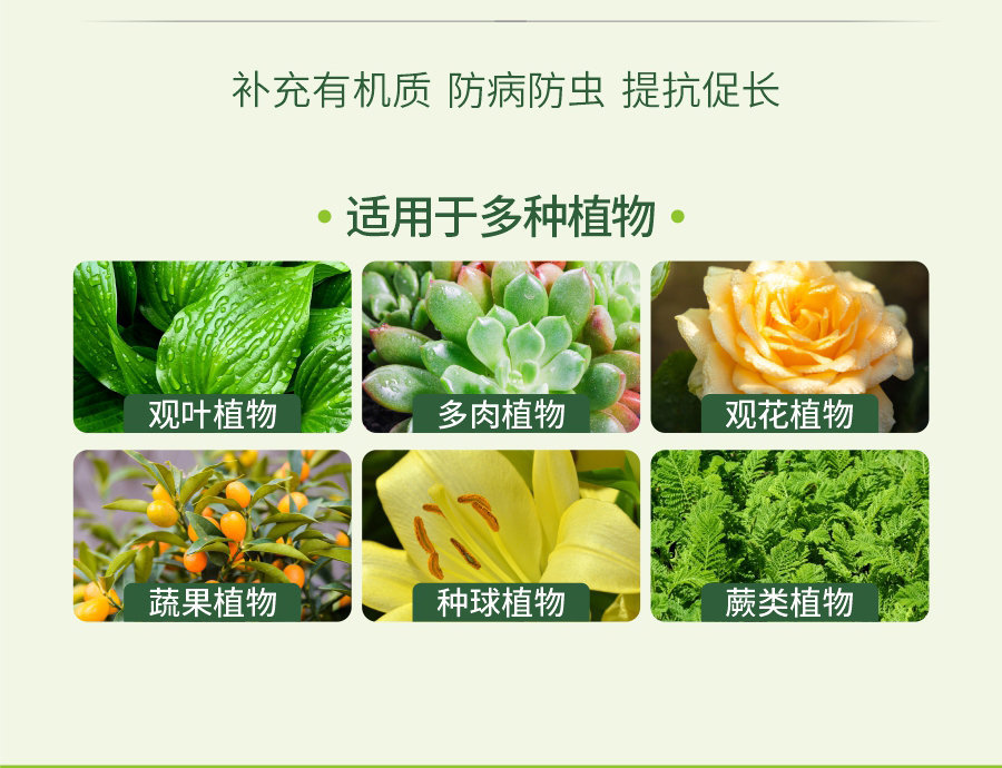 详情 (8)