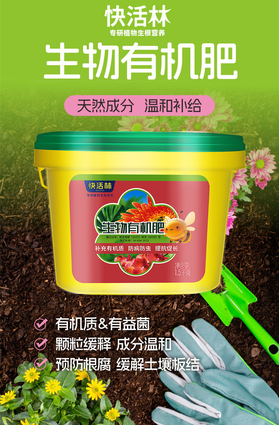 详情 (2)