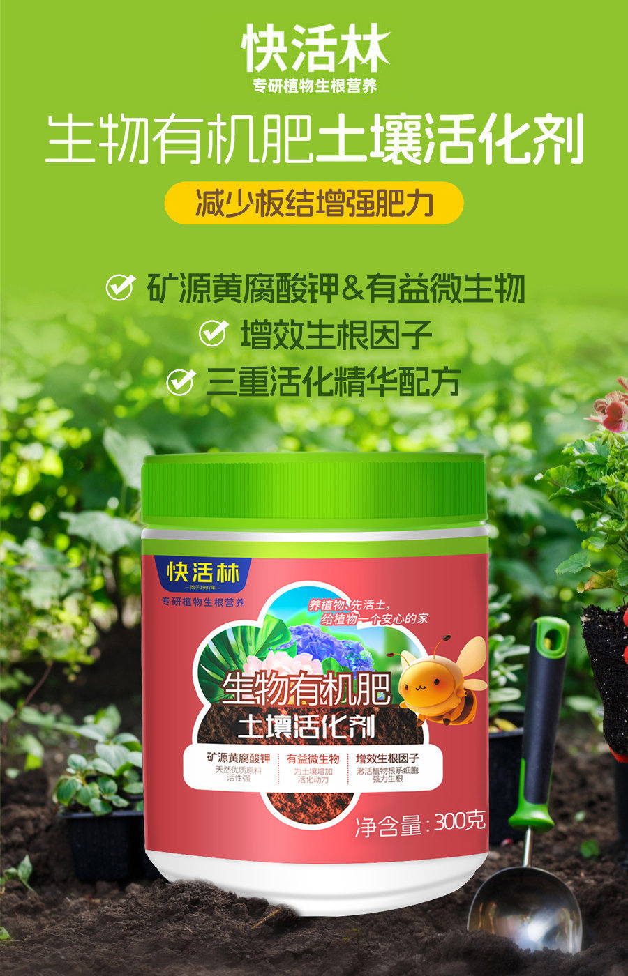 详情 (1)