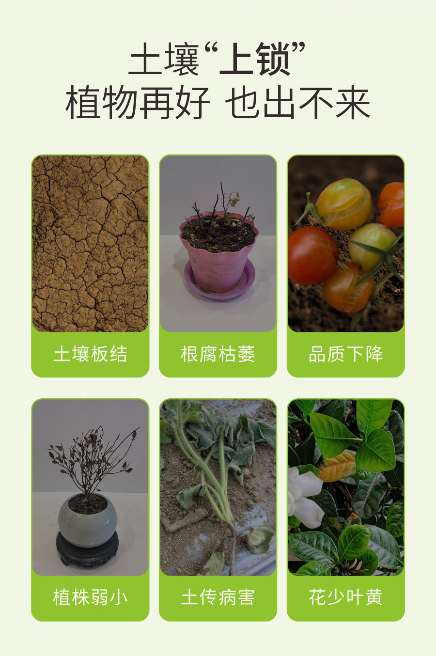 详情 (2)