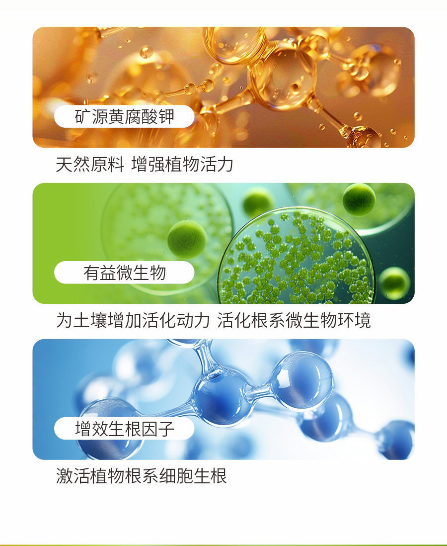 详情 (4)