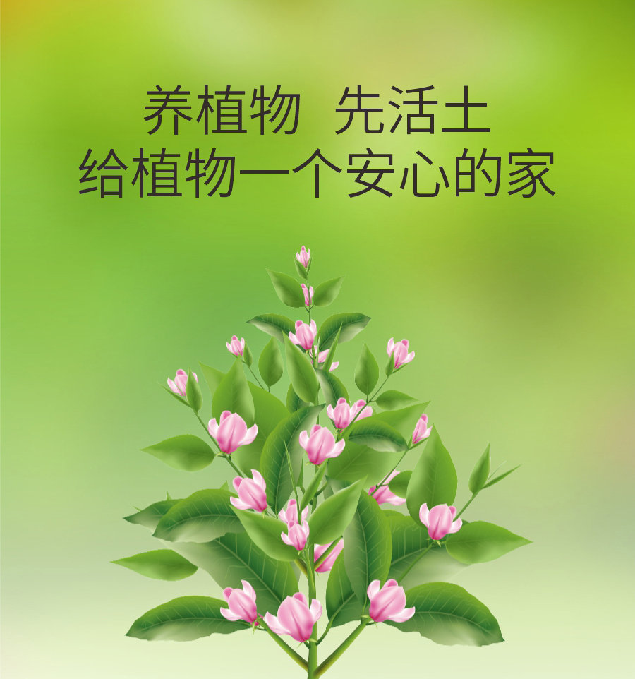 详情 (5)
