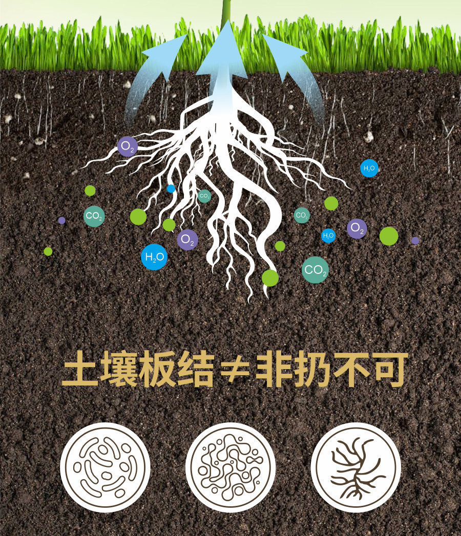 详情 (6)