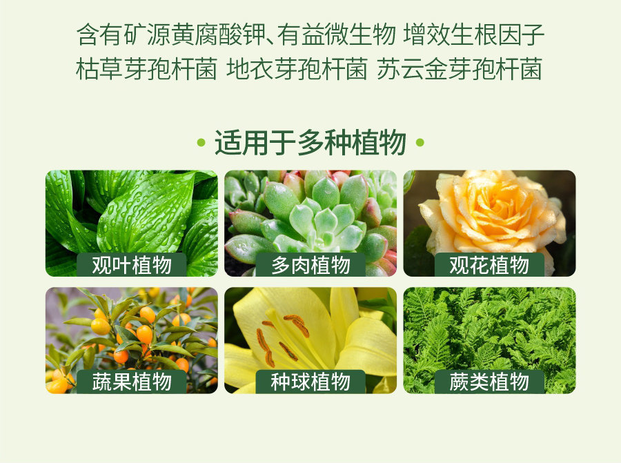 详情 (9)