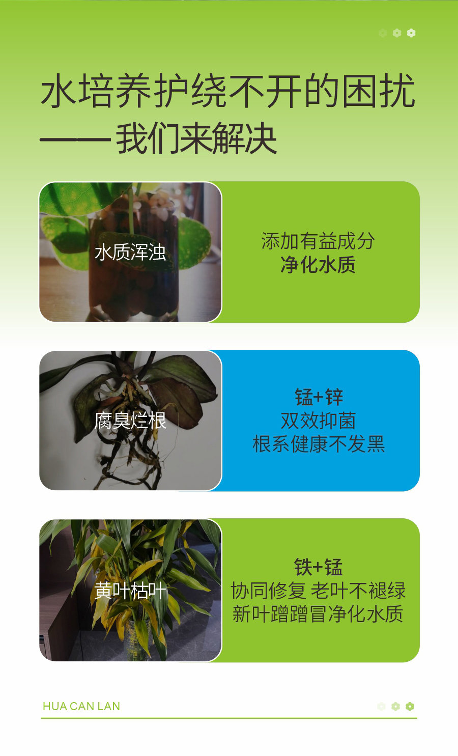 详情1 (2)