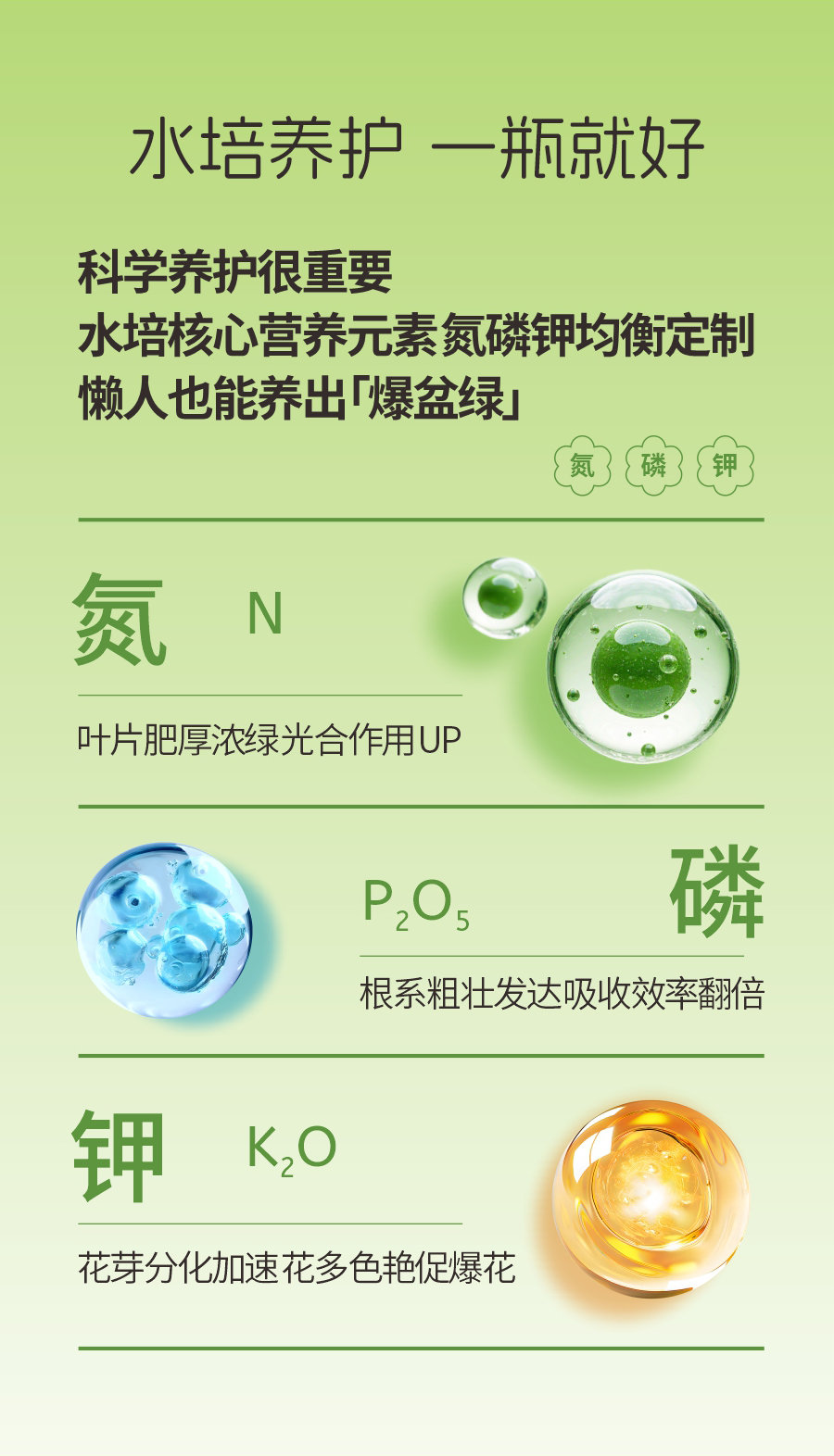 详情1 (4)