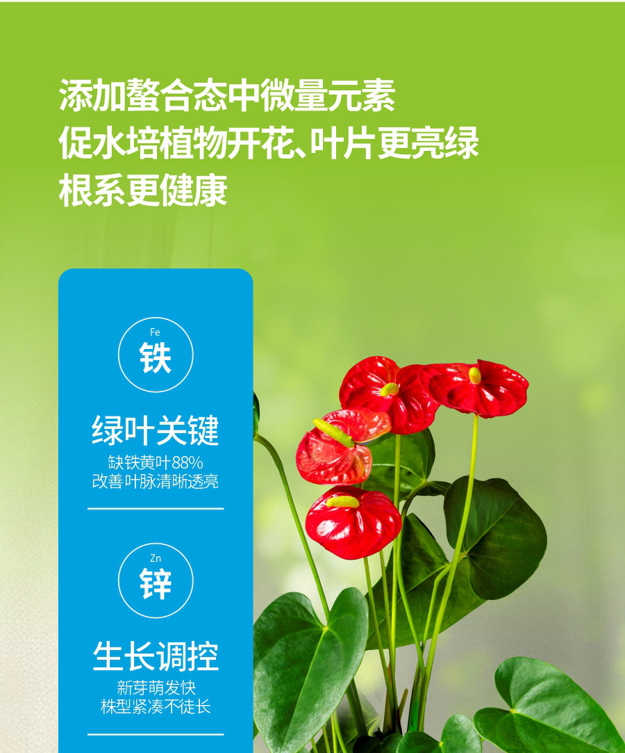 详情1 (5)