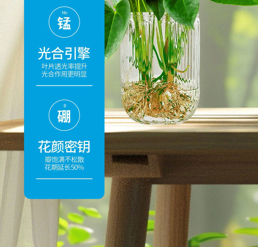 详情1 (6)