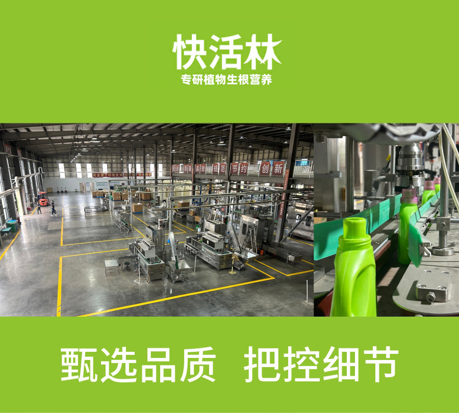 详情1 (10)