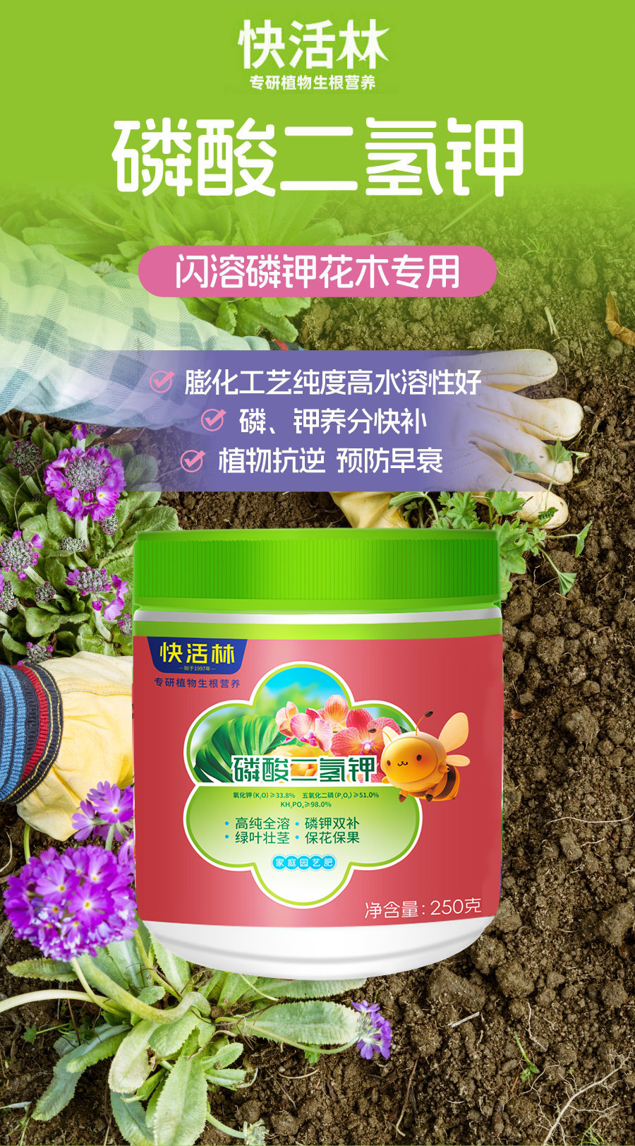 详情 (1)
