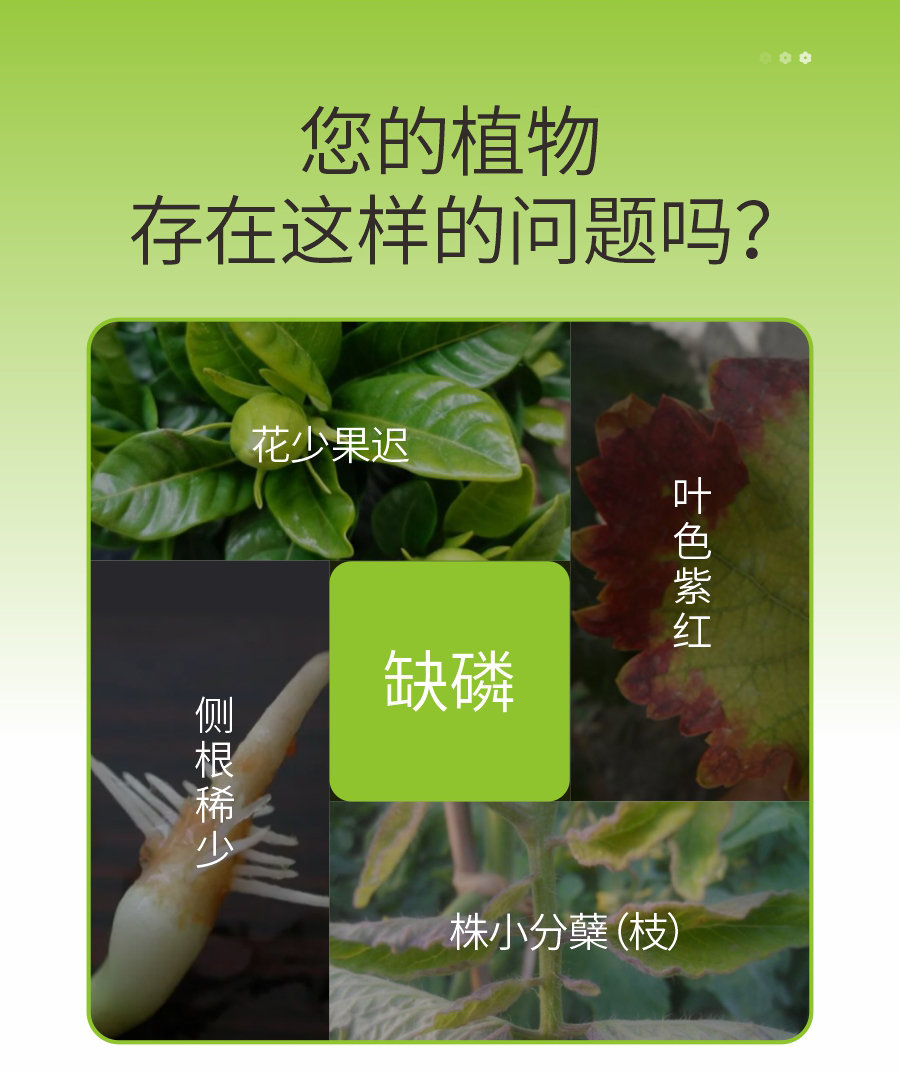 详情 (2)
