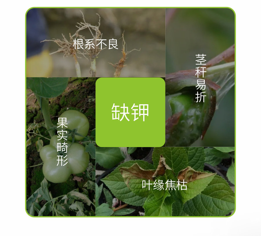 详情 (3)
