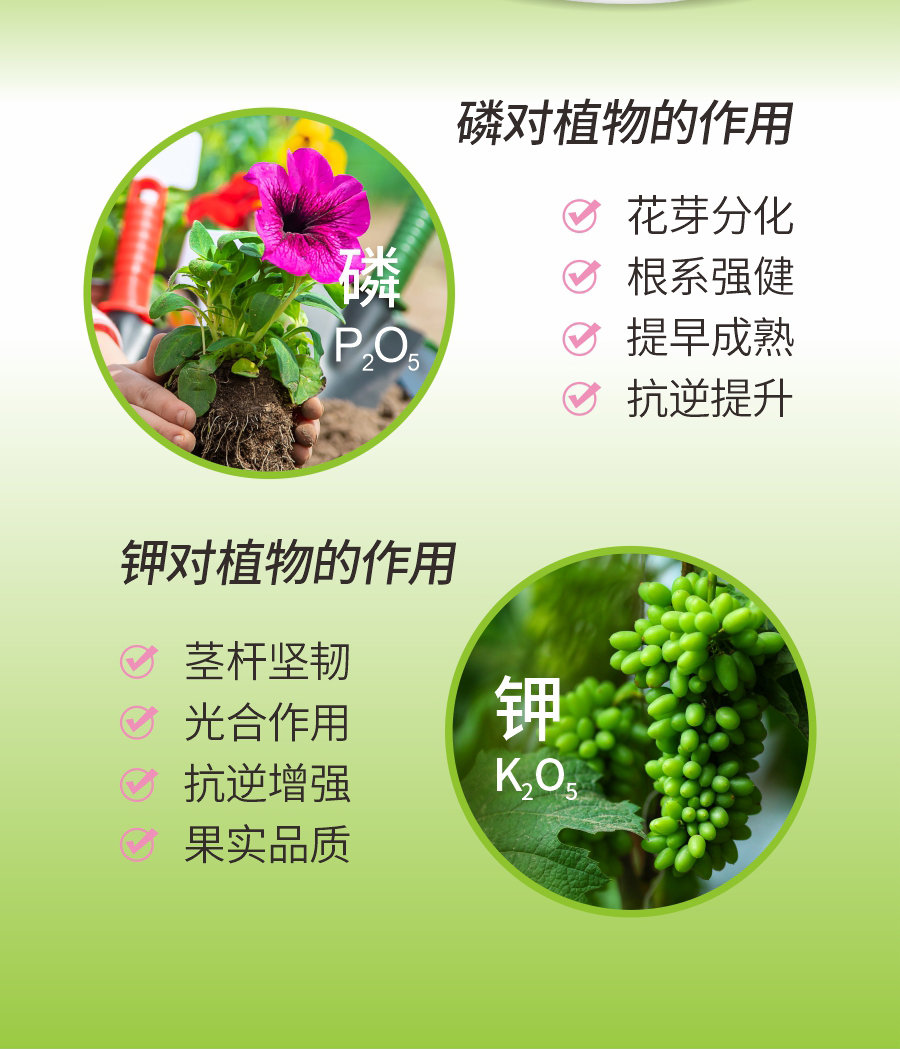 详情 (6)